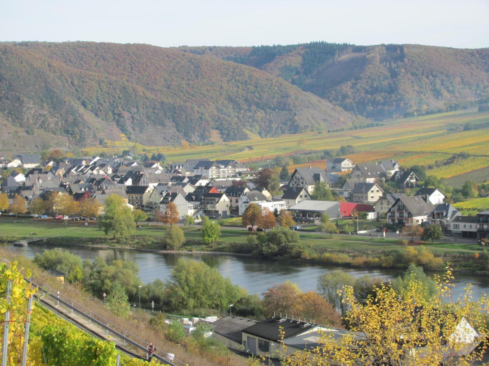 Weinhotel Sonnenschein Ernst Zewnętrze zdjęcie